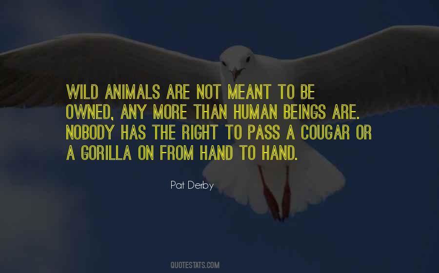 Quotes About Freedom For Animals #450693