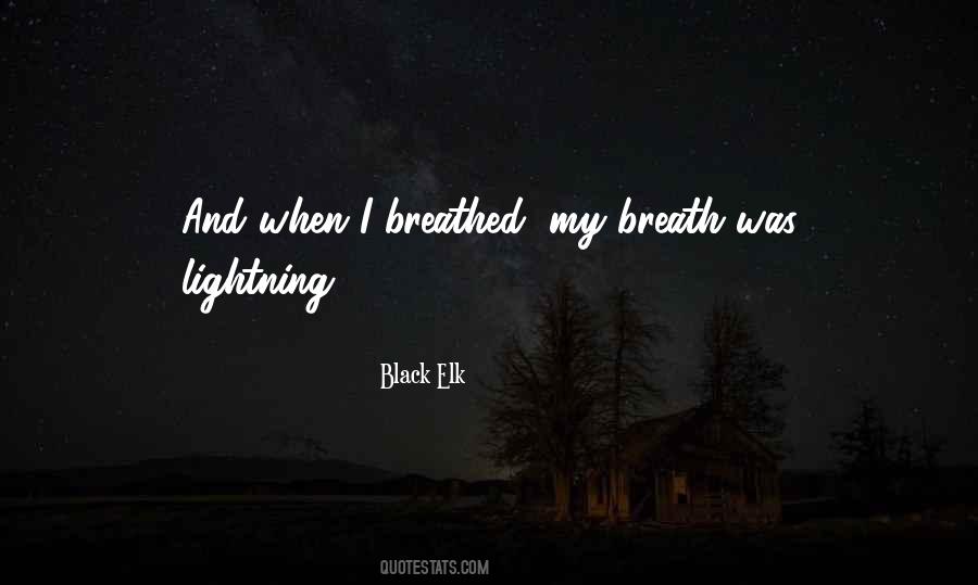 Black Lightning Quotes #1165530