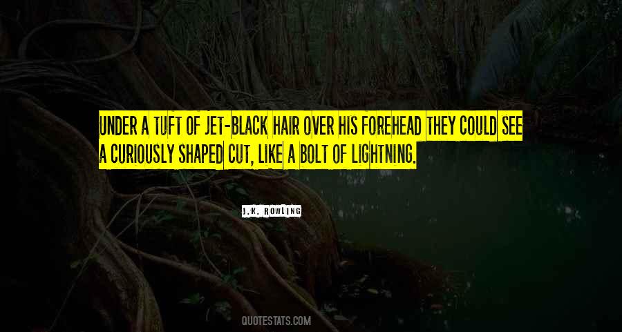 Black Lightning Quotes #410895