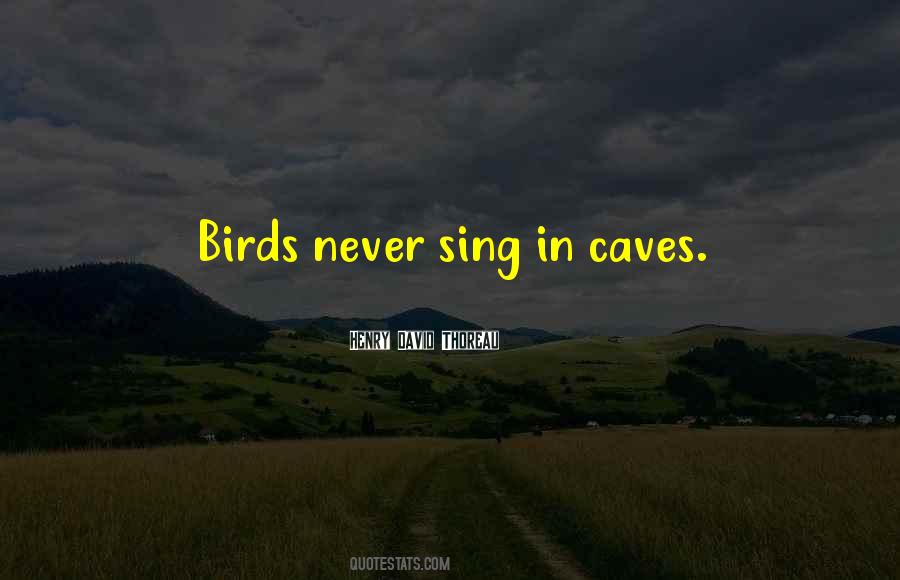 Quotes About Caves #146108
