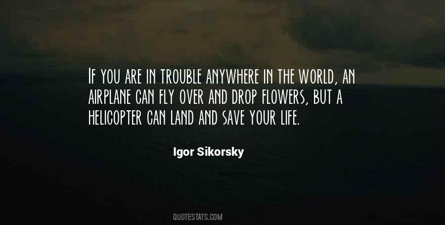 Trouble In The World Quotes #335979