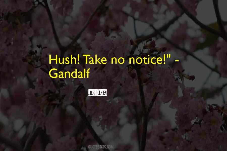 Gandalf Hobbit Quotes #196885