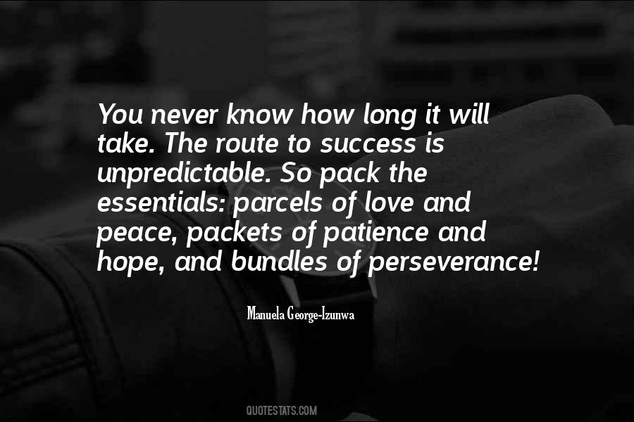 Quotes About Patience To Success #1862166