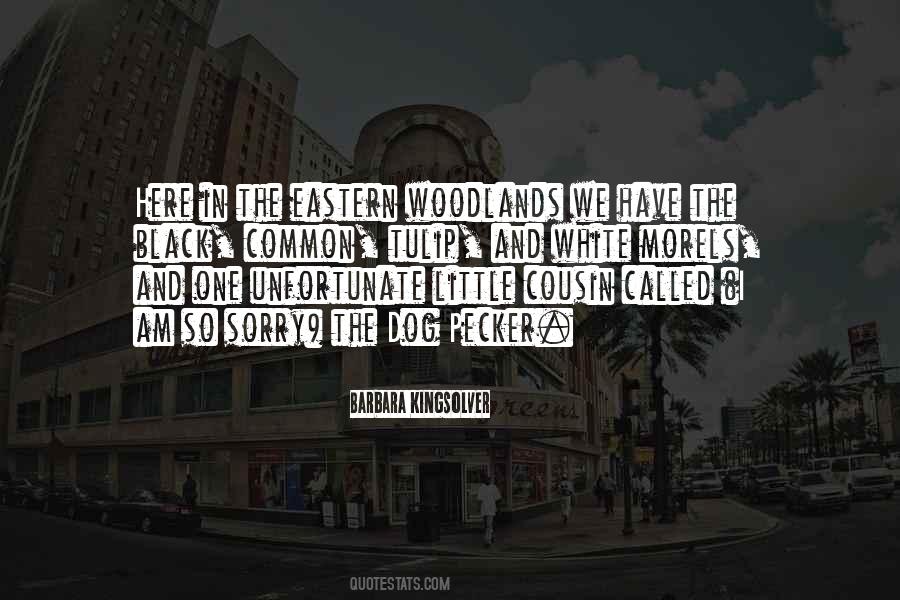 Quotes About My Little Cousin #1694174