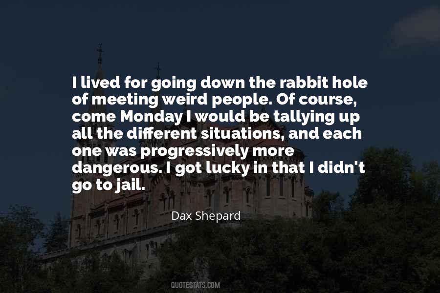 Quotes About Down The Rabbit Hole #1196025