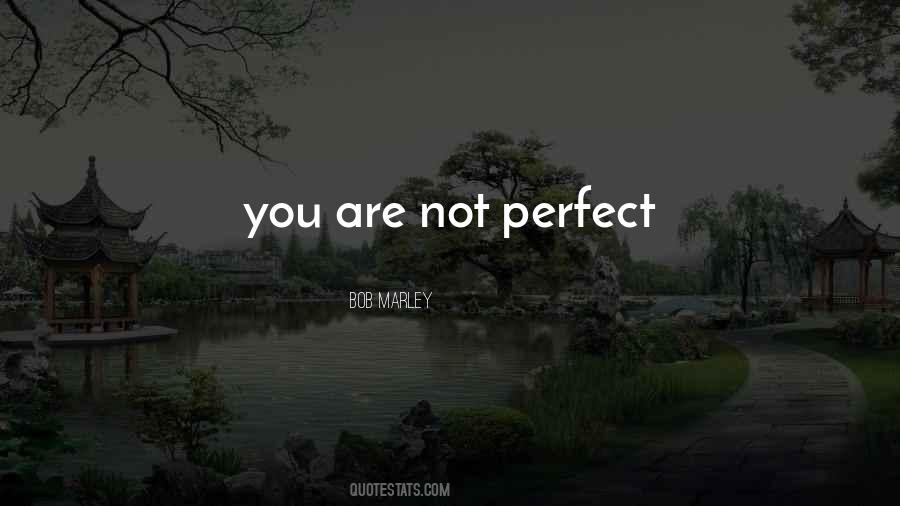 Quotes About You Are Not Perfect #1532399