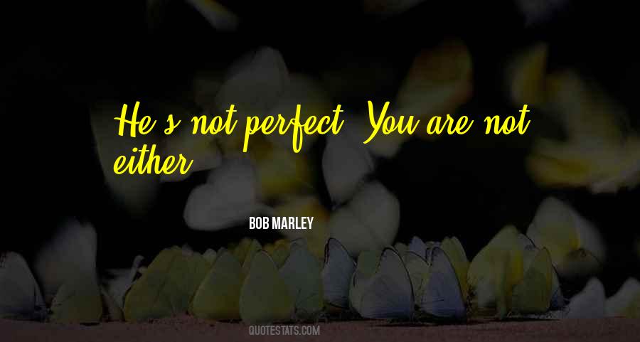 Quotes About You Are Not Perfect #849042