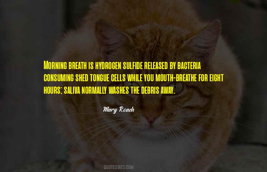 Quotes About Consuming #261469 Quotes About Consuming #261469