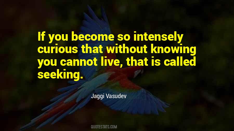 Spiritual Seeking Quotes #61697