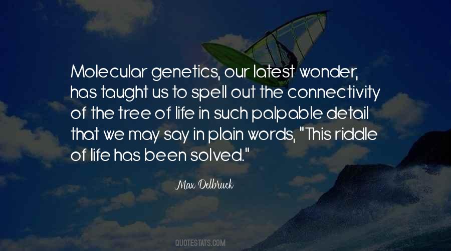 The Life Of Words Quotes #48730