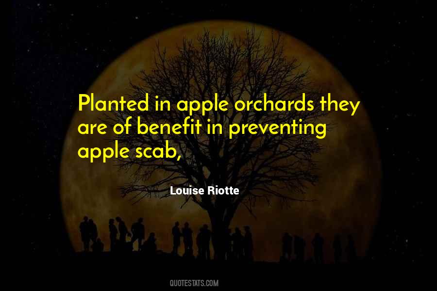 Quotes About Orchards #1489538
