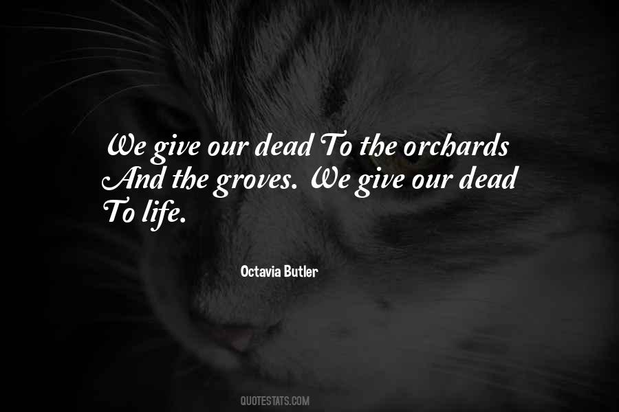 Quotes About Orchards #413485