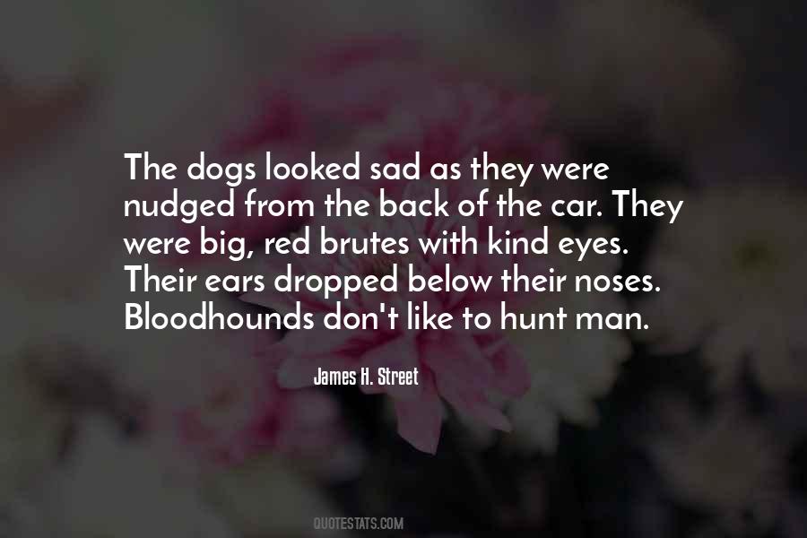 Quotes About Sad Eyes #616778