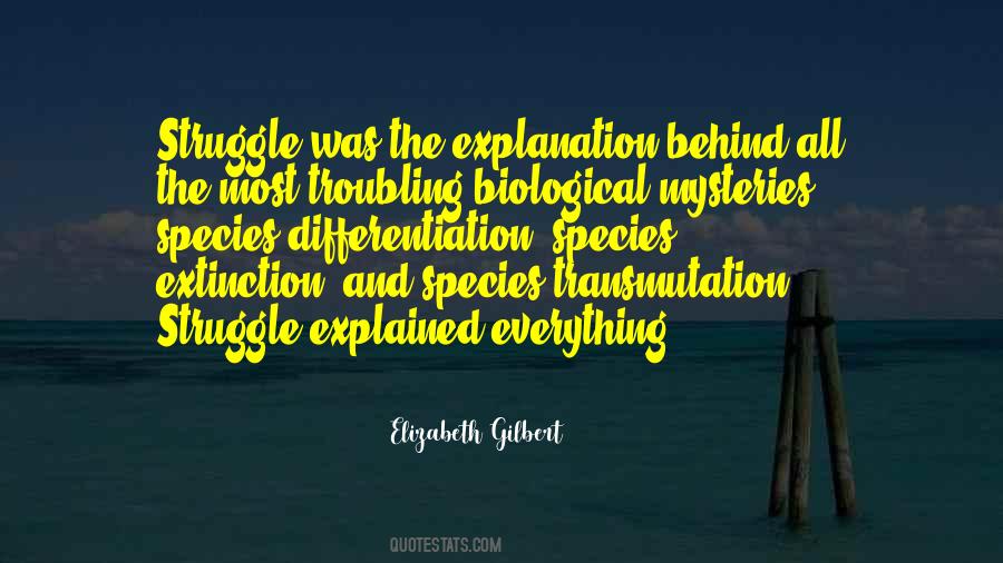 Quotes About Differentiation #1844389