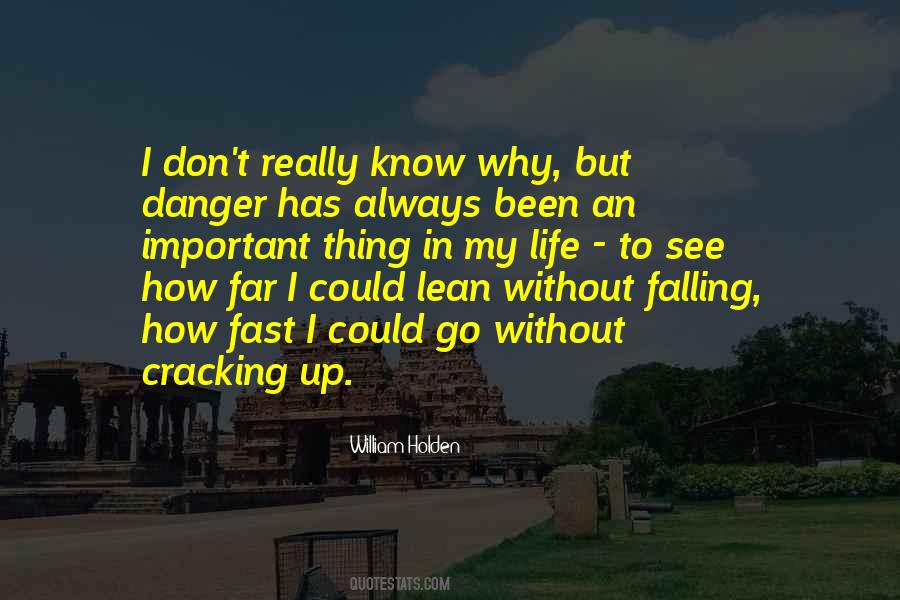 Quotes About Falling Too Fast #841469