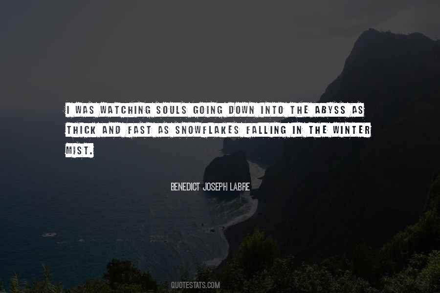 Quotes About Falling Too Fast #918238