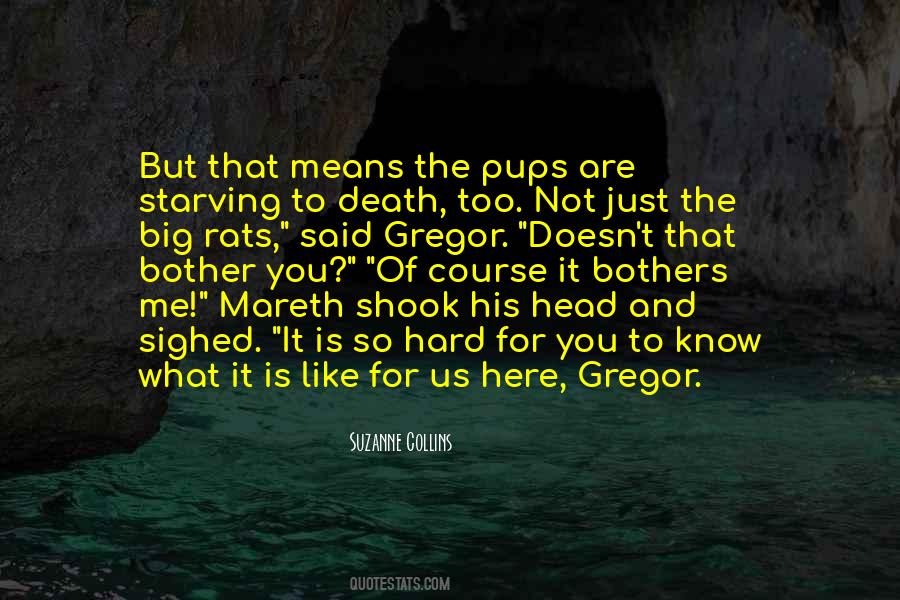 Quotes About Gregor #300646