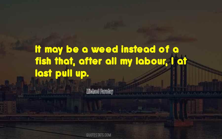 Quotes About Weed #1198155