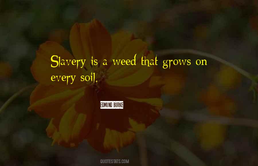 Quotes About Weed #1409359