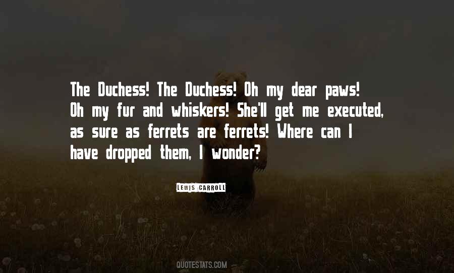 Quotes About Ferrets #1521028