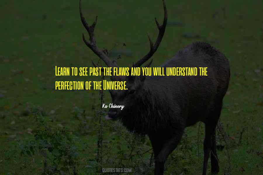 The Nature Of Perfection Quotes #134091