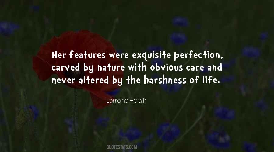 The Nature Of Perfection Quotes #1366112