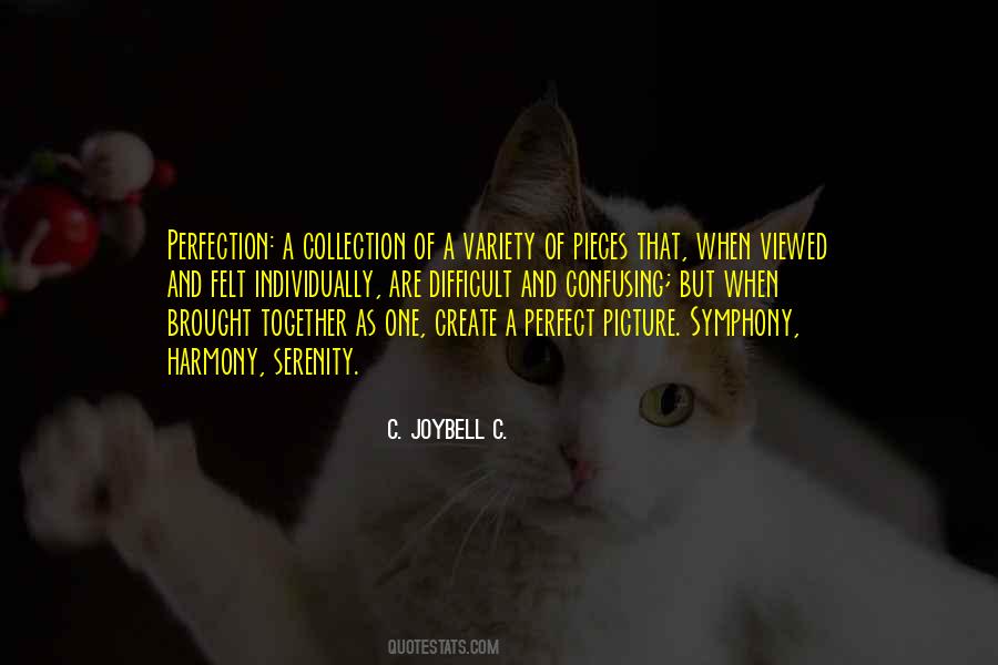 The Nature Of Perfection Quotes #1780515