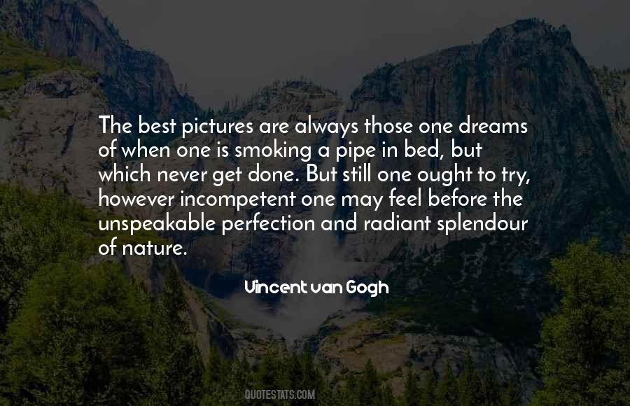 The Nature Of Perfection Quotes #1840308