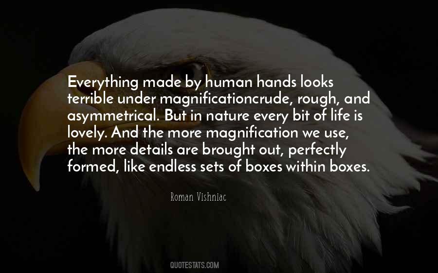 The Nature Of Perfection Quotes #465152