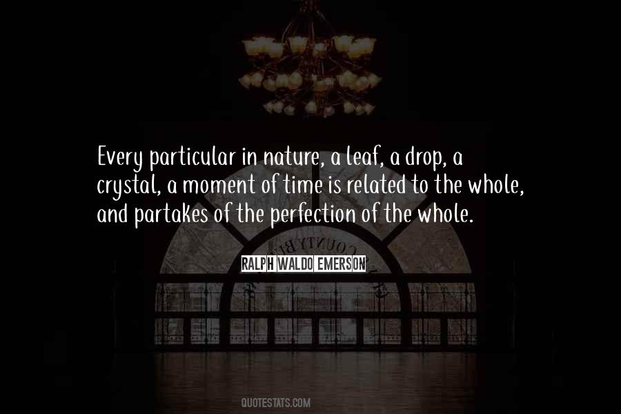 The Nature Of Perfection Quotes #872494