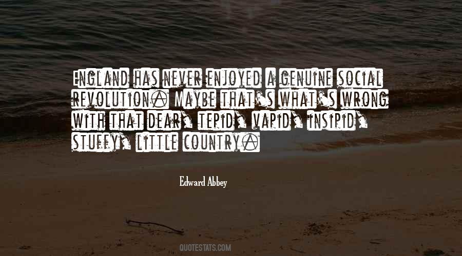 Quotes About Vapid #1491768