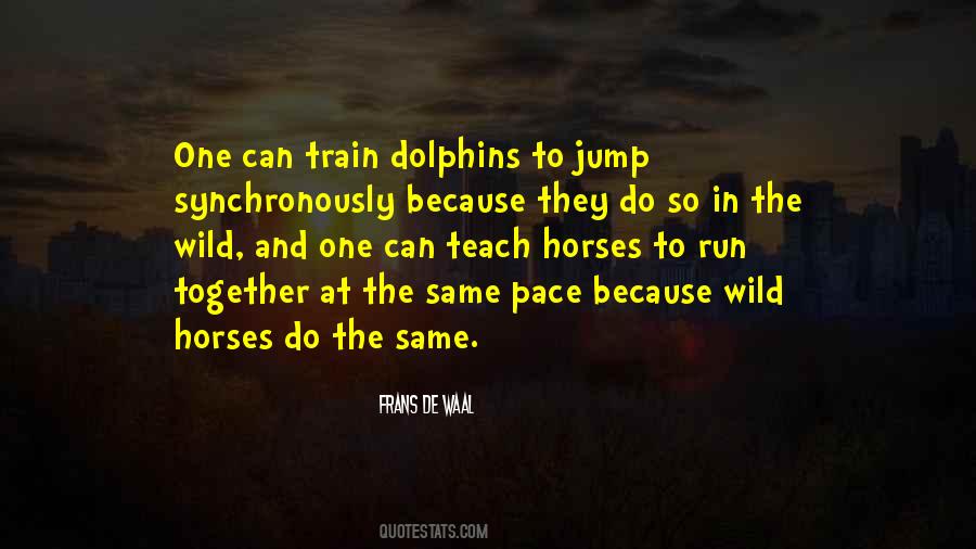 Quotes About Dolphins #1028078