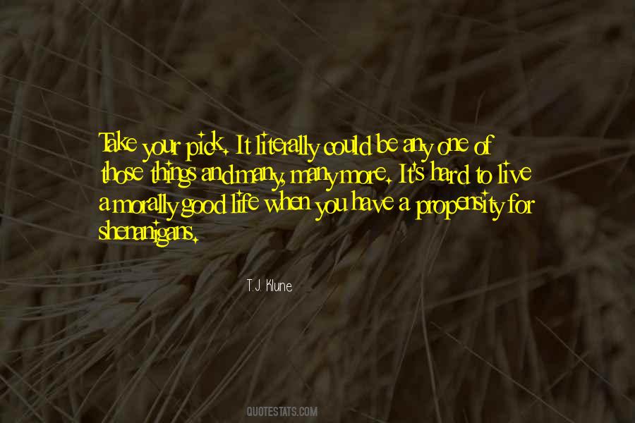 Quotes About Trouble In Life #303343
