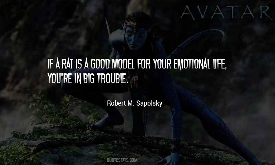 Quotes About Trouble In Life #467316