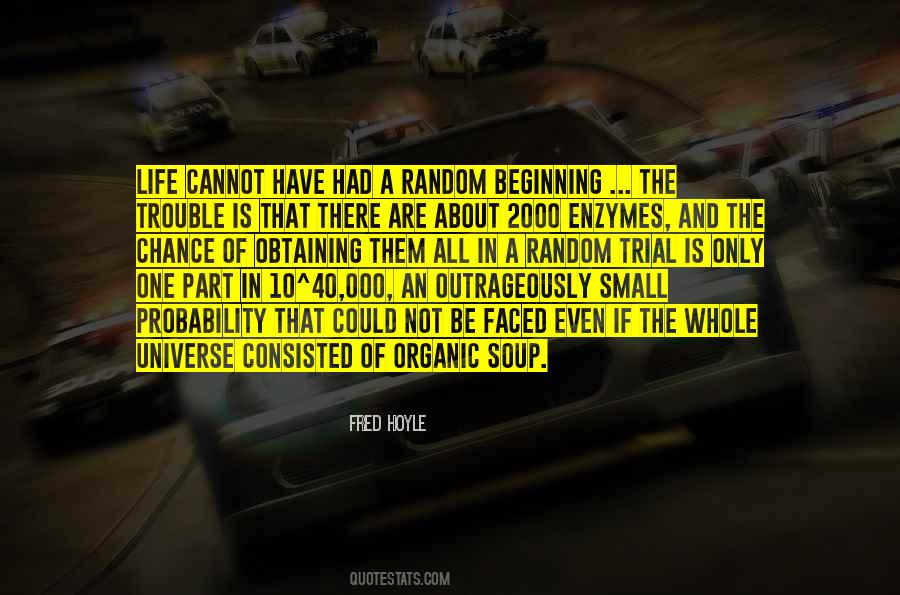 Quotes About Trouble In Life #93421