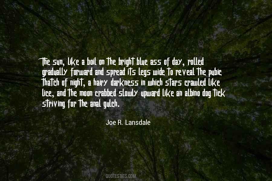 Quotes About Stars And Darkness #12494