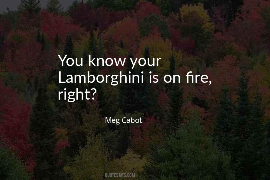 Quotes About The Evils Of Politics #832692