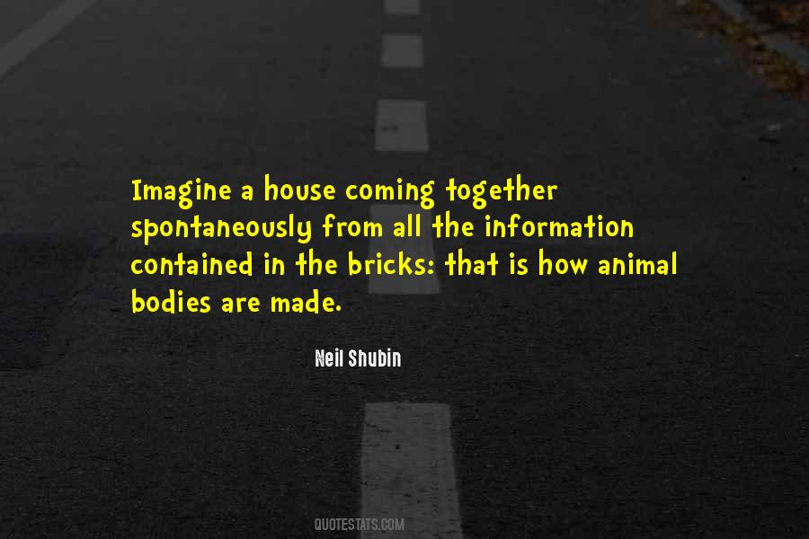 Quotes About Quotes Shrek The Musical #130347