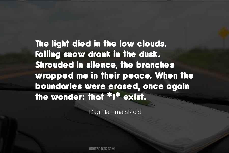 Quotes About Low Light #1062533