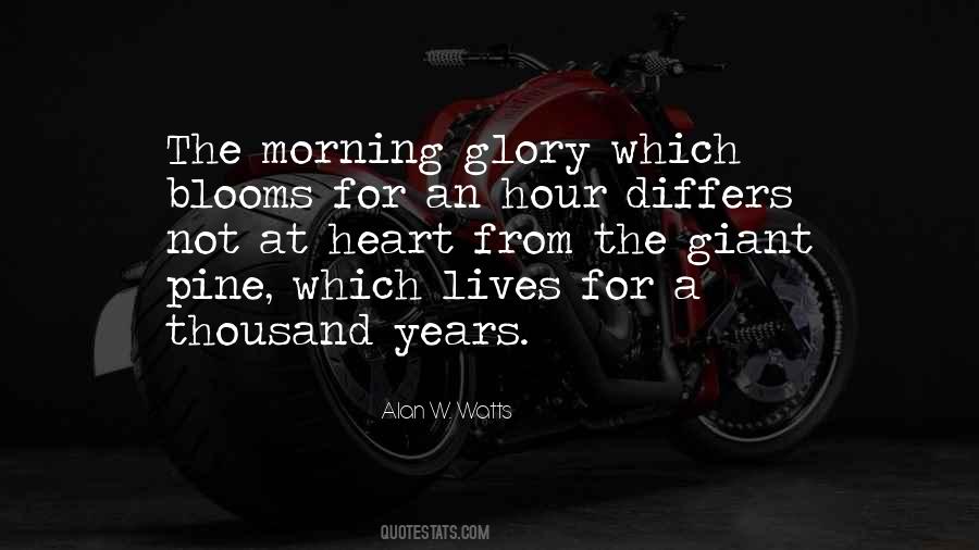 Quotes About Morning Glory #1272004
