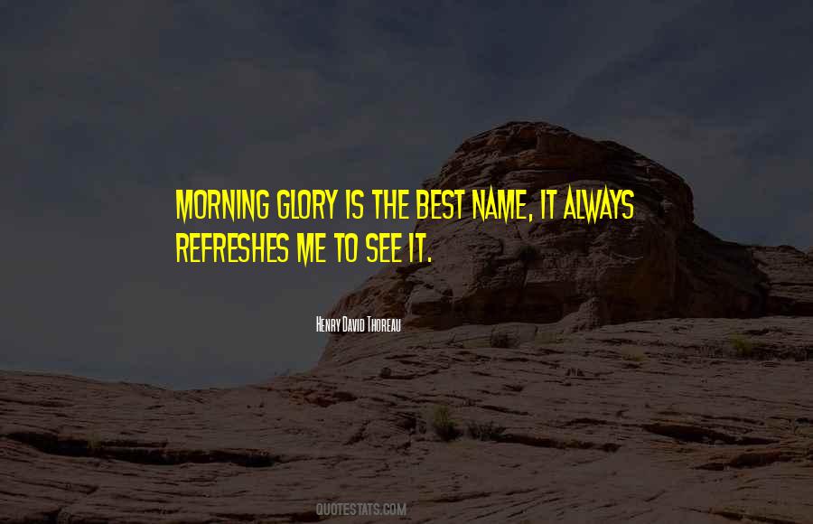 Quotes About Morning Glory #383985