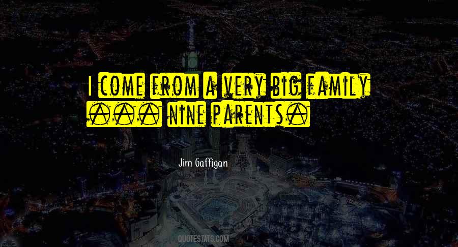 Quotes About Big Families #1476597