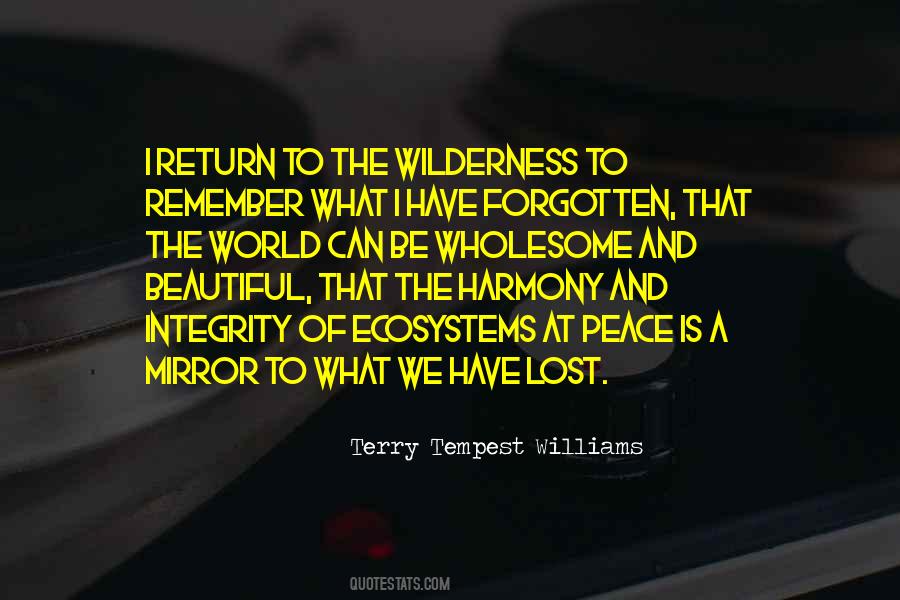 Lost In The Wilderness Quotes #1436196