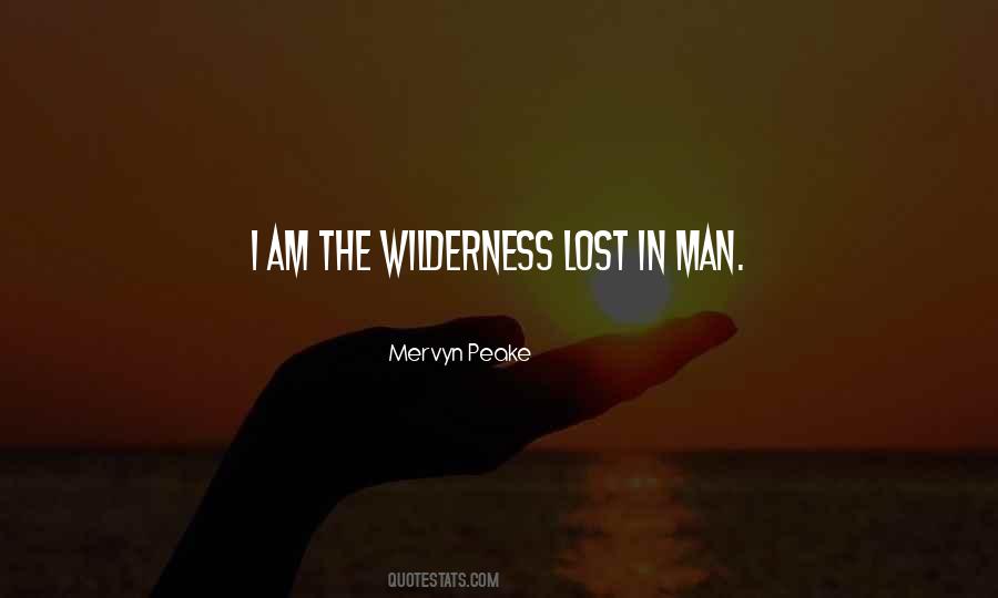 Lost In The Wilderness Quotes #551321