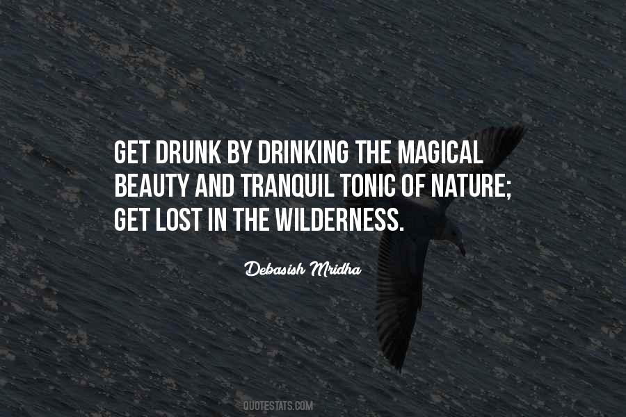 Lost In The Wilderness Quotes #846291