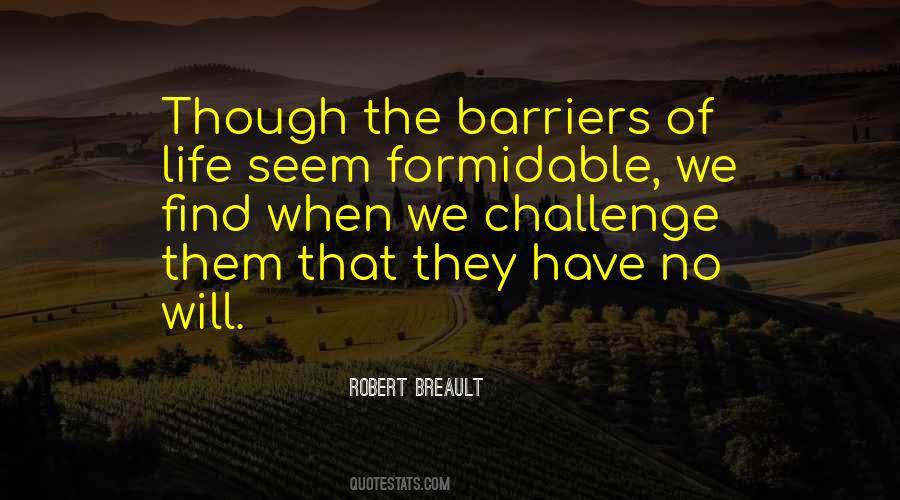 Quotes About Barriers #955791