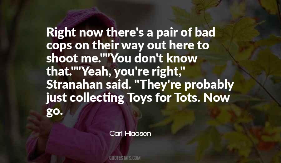 Quotes About Collecting Toys #1457551
