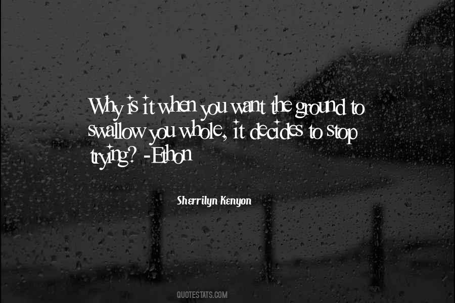 Quotes About Stop Trying #941362