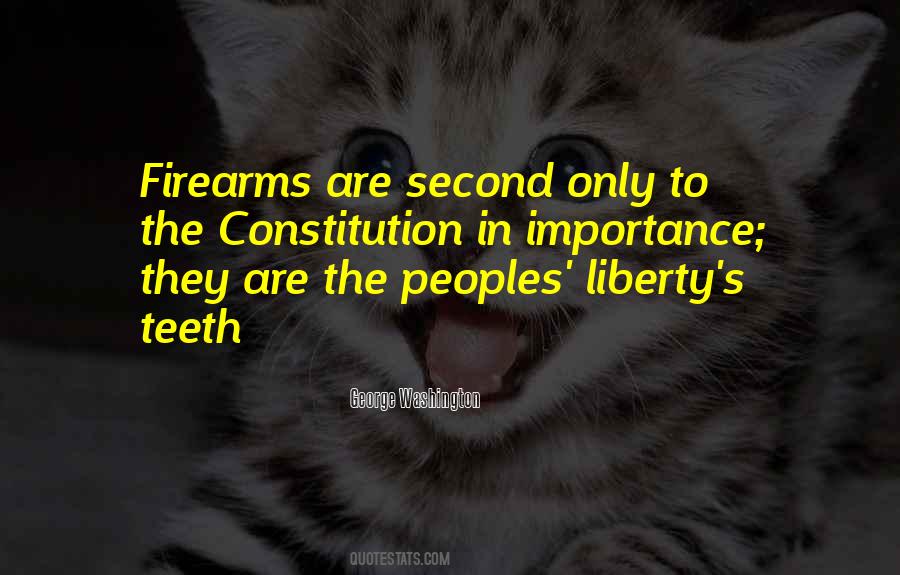 Quotes About Firearms #1012203