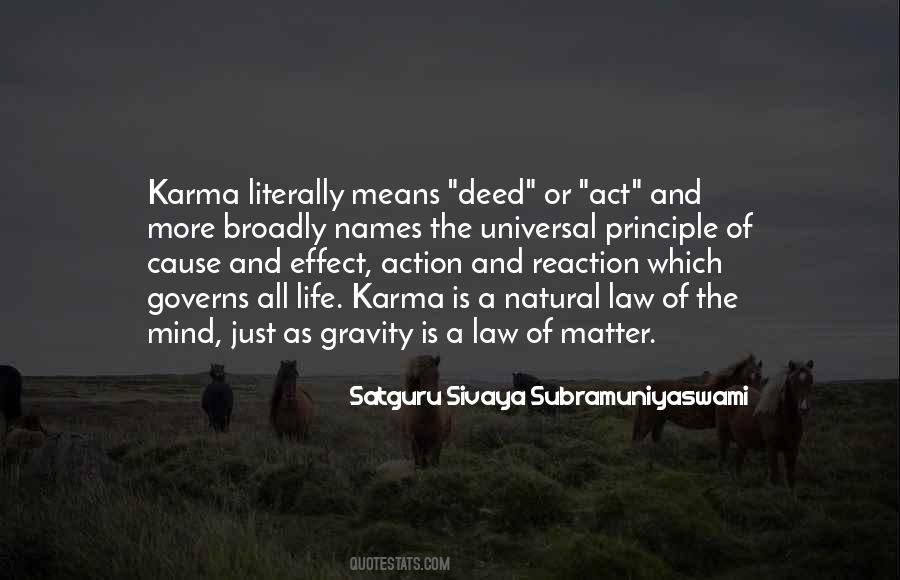 Karma Law Quotes #296264
